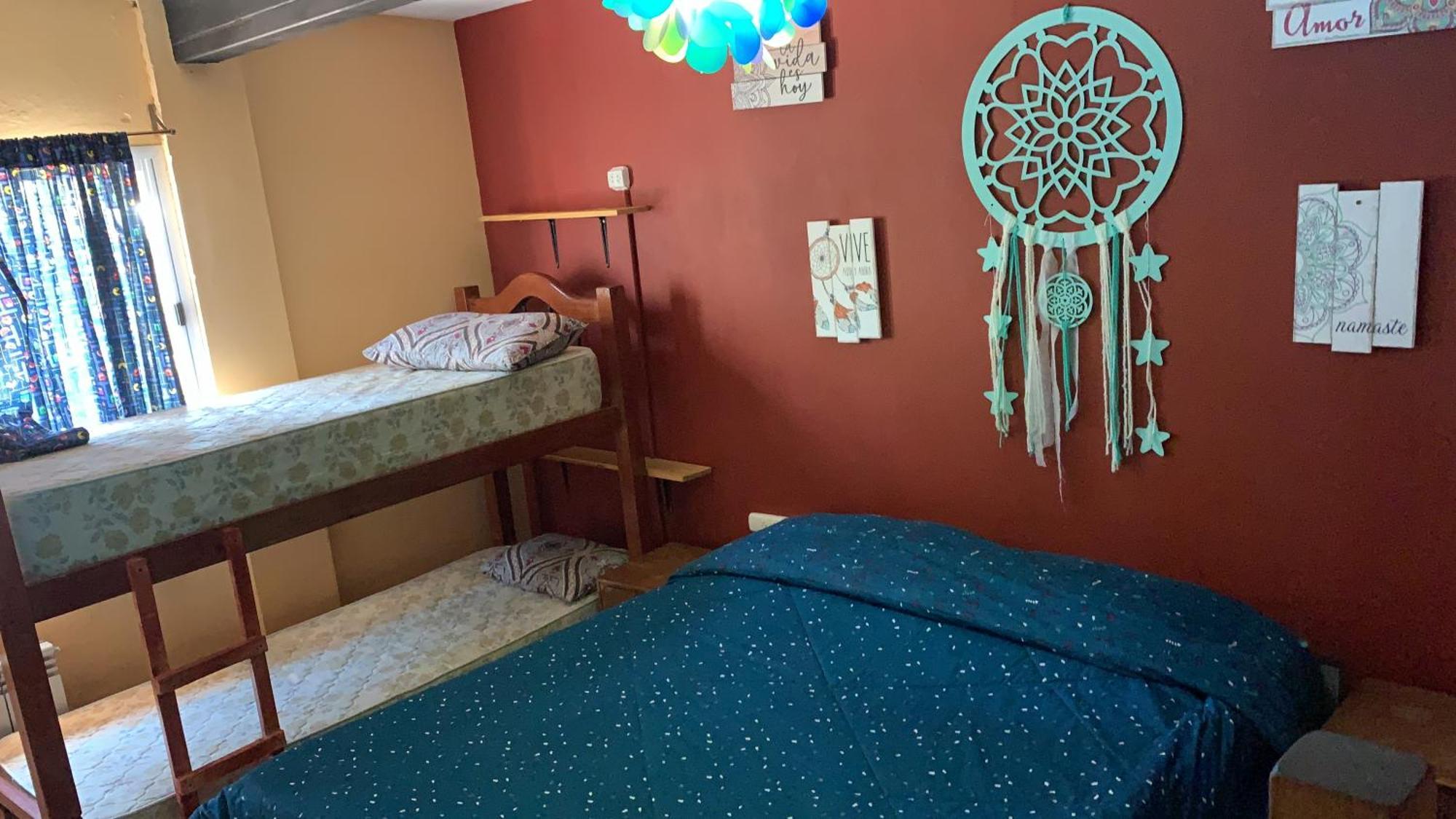 Lemon Tree Hostel ビスタルバ エクステリア 写真